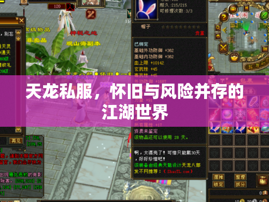 天龙私服，怀旧与风险并存的江湖世界