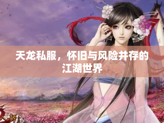 天龙私服，怀旧与风险并存的江湖世界