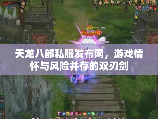 天龙八部私服发布网，游戏情怀与风险并存的双刃剑