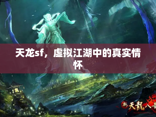 天龙sf，虚拟江湖中的真实情怀