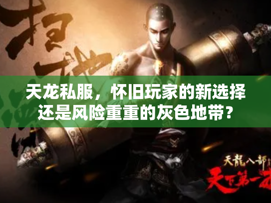 天龙私服，怀旧玩家的新选择还是风险重重的灰色地带？