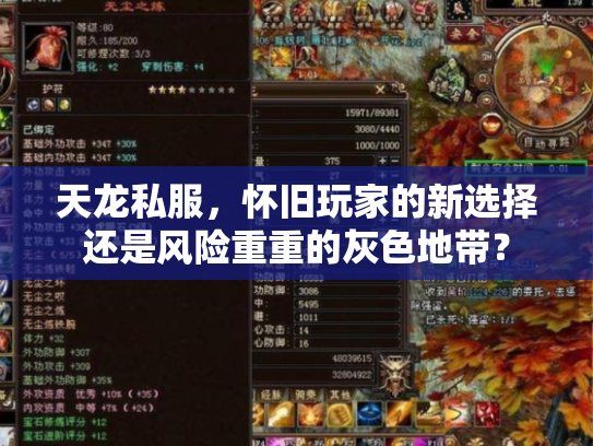 天龙私服，怀旧玩家的新选择还是风险重重的灰色地带？