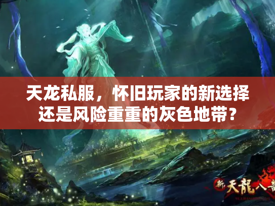 天龙私服，怀旧玩家的新选择还是风险重重的灰色地带？