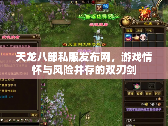 天龙八部私服发布网，游戏情怀与风险并存的双刃剑