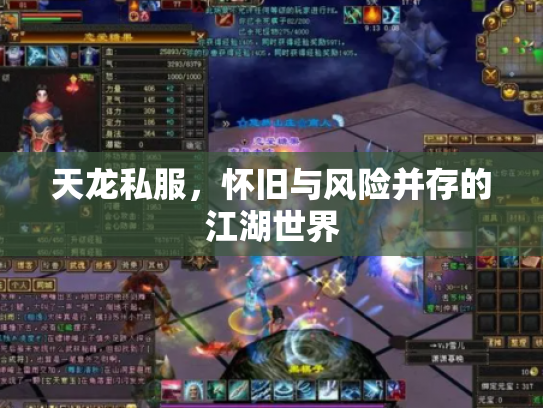 天龙私服，怀旧与风险并存的江湖世界