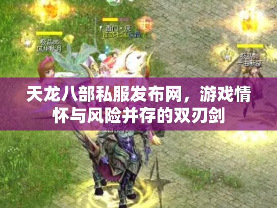 天龙八部私服发布网，游戏情怀与风险并存的双刃剑