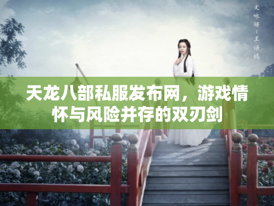 天龙八部私服发布网，游戏情怀与风险并存的双刃剑