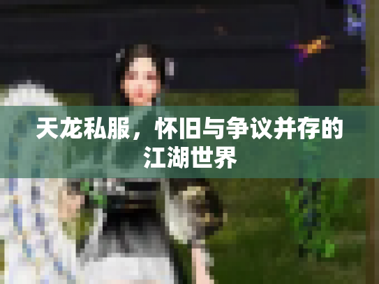 天龙私服，怀旧与争议并存的江湖世界