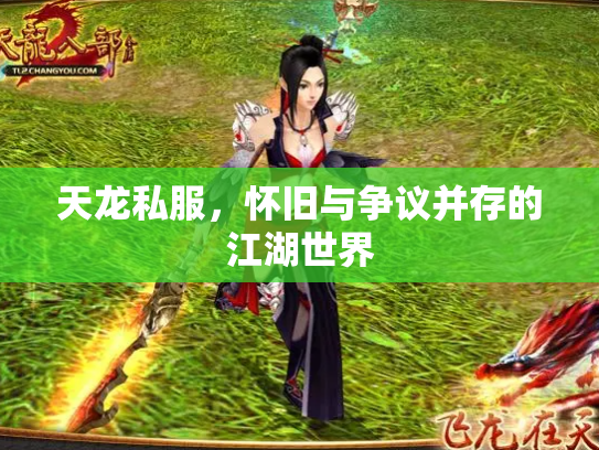 天龙私服，怀旧与争议并存的江湖世界