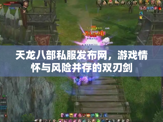 天龙八部私服发布网，游戏情怀与风险并存的双刃剑