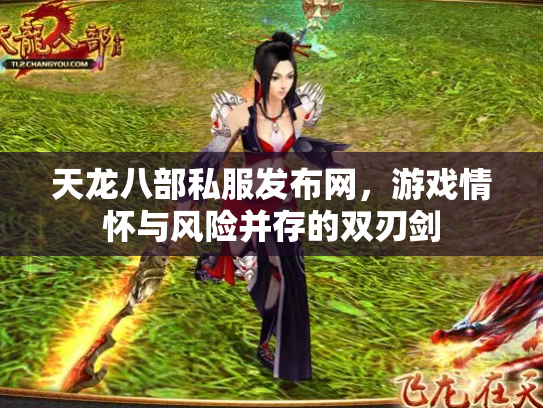 天龙八部私服发布网，游戏情怀与风险并存的双刃剑