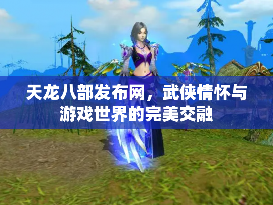 天龙八部发布网，武侠情怀与游戏世界的完美交融
