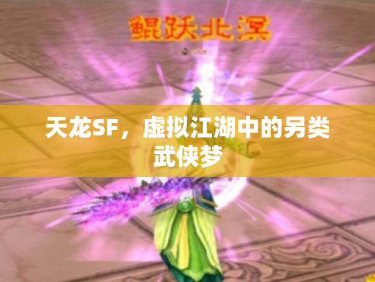 天龙SF，虚拟江湖中的另类武侠梦