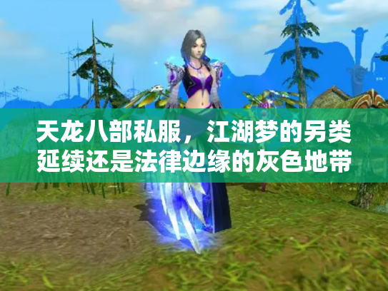 天龙八部私服，江湖梦的另类延续还是法律边缘的灰色地带？