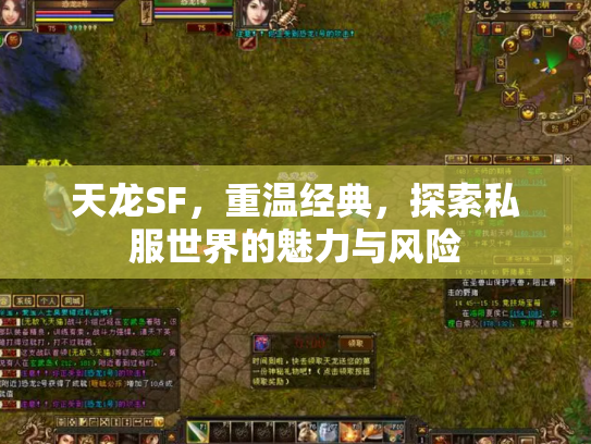 天龙SF，重温经典，探索私服世界的魅力与风险