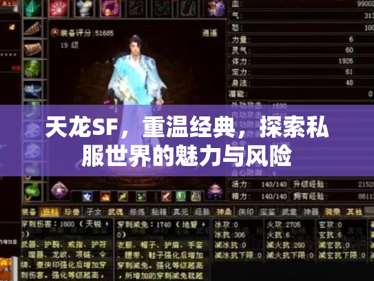 天龙SF，重温经典，探索私服世界的魅力与风险