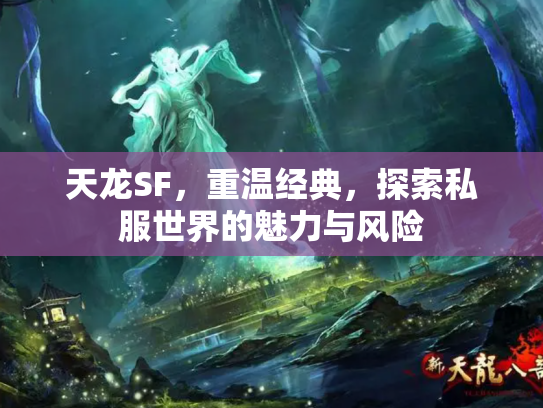 天龙SF，重温经典，探索私服世界的魅力与风险