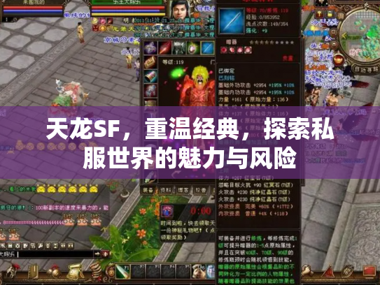 天龙SF，重温经典，探索私服世界的魅力与风险