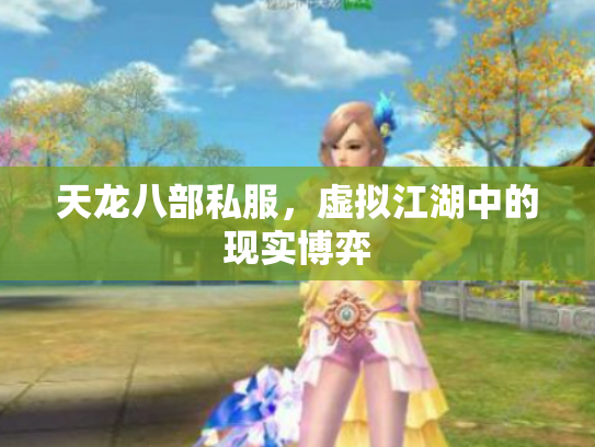 天龙八部私服，虚拟江湖中的现实博弈