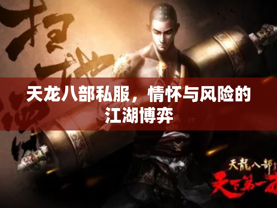 天龙八部私服，情怀与风险的江湖博弈