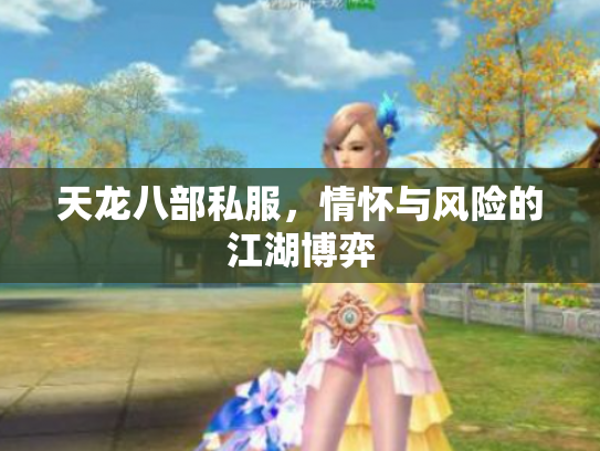 天龙八部私服，情怀与风险的江湖博弈