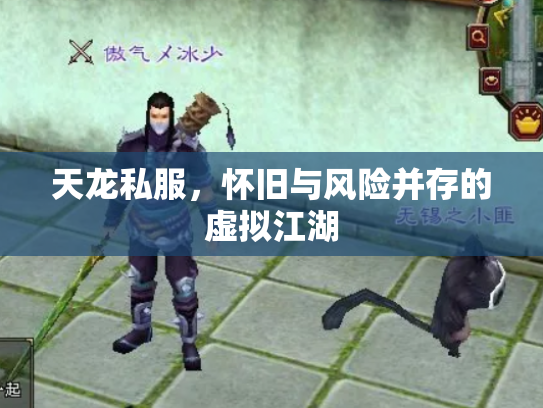 天龙私服，怀旧与风险并存的虚拟江湖