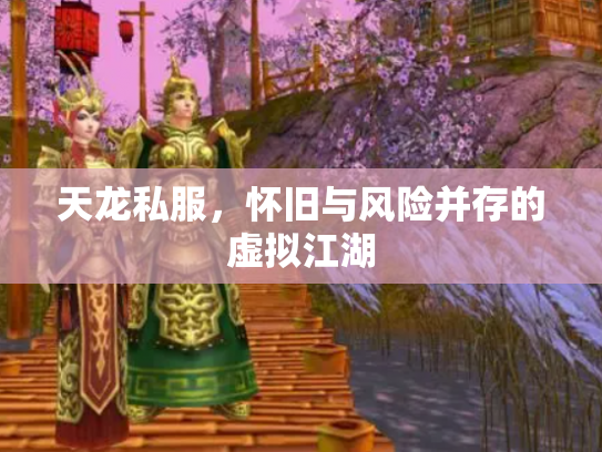 天龙私服，怀旧与风险并存的虚拟江湖