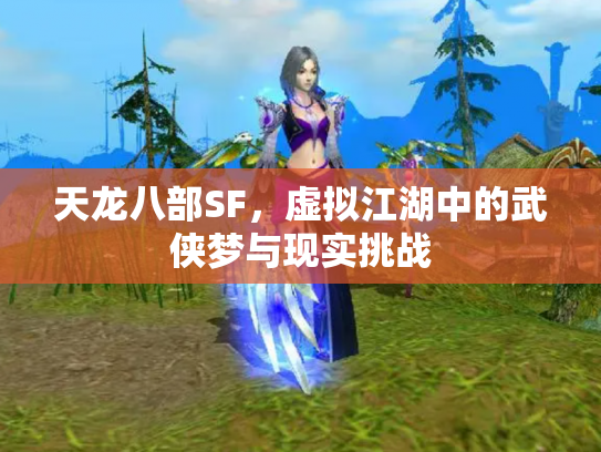 天龙八部SF，虚拟江湖中的武侠梦与现实挑战
