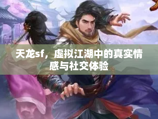 天龙sf，虚拟江湖中的真实情感与社交体验