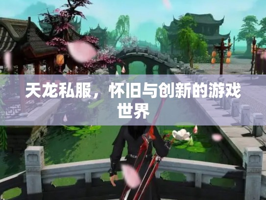 天龙私服，怀旧与创新的游戏世界