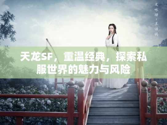 天龙SF，重温经典，探索私服世界的魅力与风险