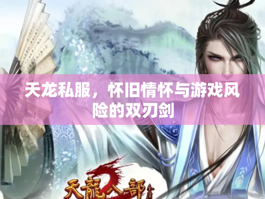 天龙私服，怀旧情怀与游戏风险的双刃剑