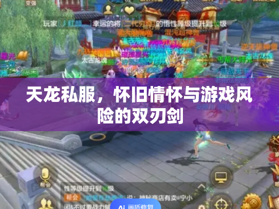 天龙私服，怀旧情怀与游戏风险的双刃剑