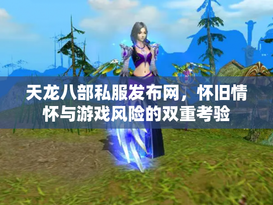 天龙八部私服发布网，怀旧情怀与游戏风险的双重考验
