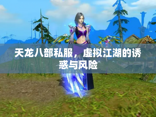 天龙八部私服，虚拟江湖的诱惑与风险