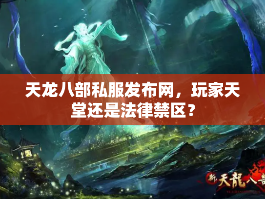 天龙八部私服发布网，玩家天堂还是法律禁区？