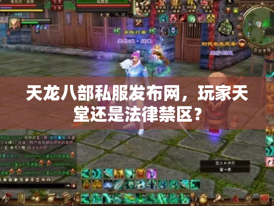 天龙八部私服发布网，玩家天堂还是法律禁区？