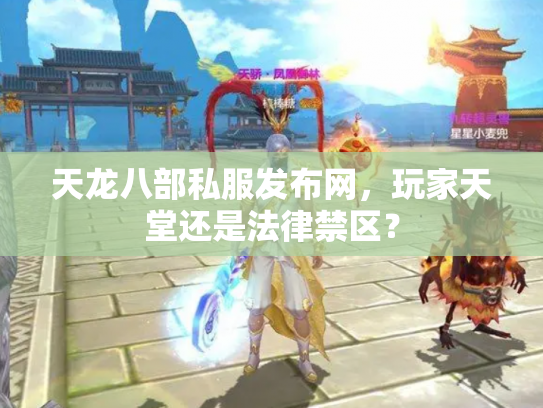 天龙八部私服发布网，玩家天堂还是法律禁区？