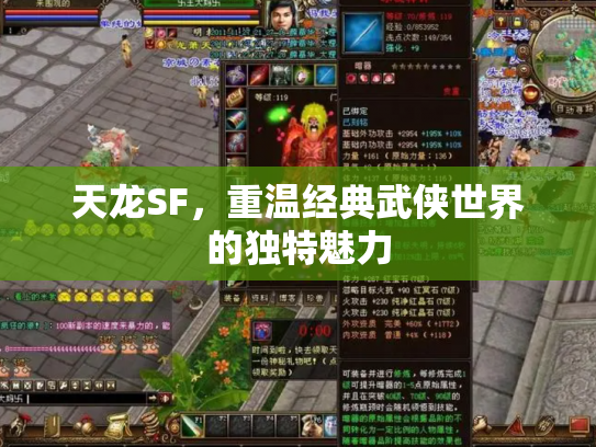 天龙SF，重温经典武侠世界的独特魅力