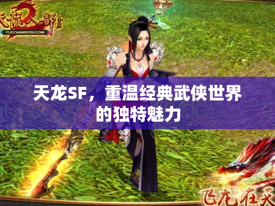 天龙SF，重温经典武侠世界的独特魅力