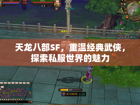 天龙八部SF，重温经典武侠，探索私服世界的魅力