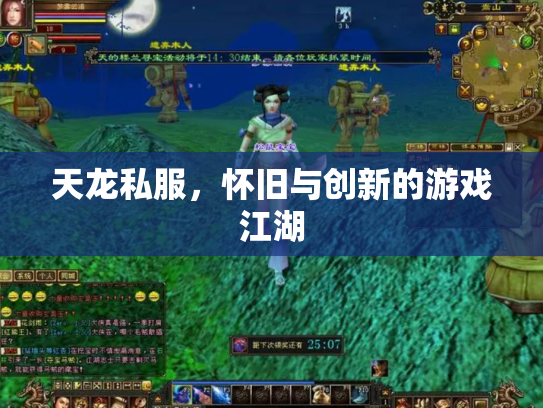天龙私服，怀旧与创新的游戏江湖