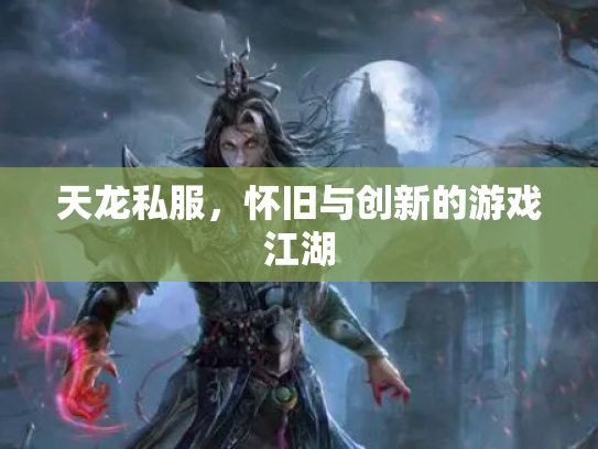 天龙私服，怀旧与创新的游戏江湖