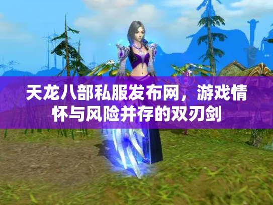 天龙八部私服发布网，游戏情怀与风险并存的双刃剑