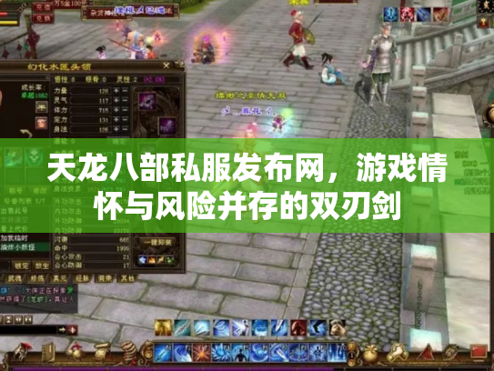 天龙八部私服发布网，游戏情怀与风险并存的双刃剑
