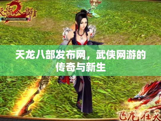 天龙八部发布网，武侠网游的传奇与新生