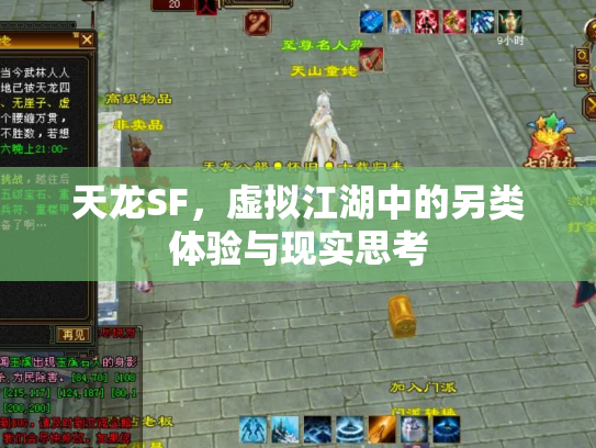天龙SF，虚拟江湖中的另类体验与现实思考