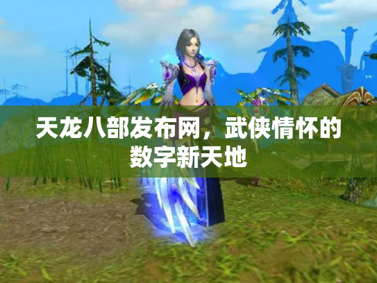 天龙八部发布网，武侠情怀的数字新天地