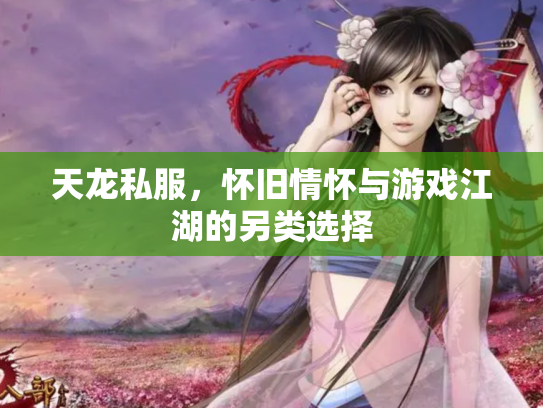 天龙私服，怀旧情怀与游戏江湖的另类选择