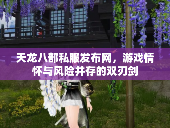 天龙八部私服发布网，游戏情怀与风险并存的双刃剑